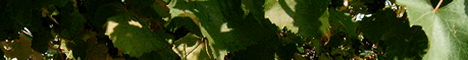 Agriturismo Valdigoja
